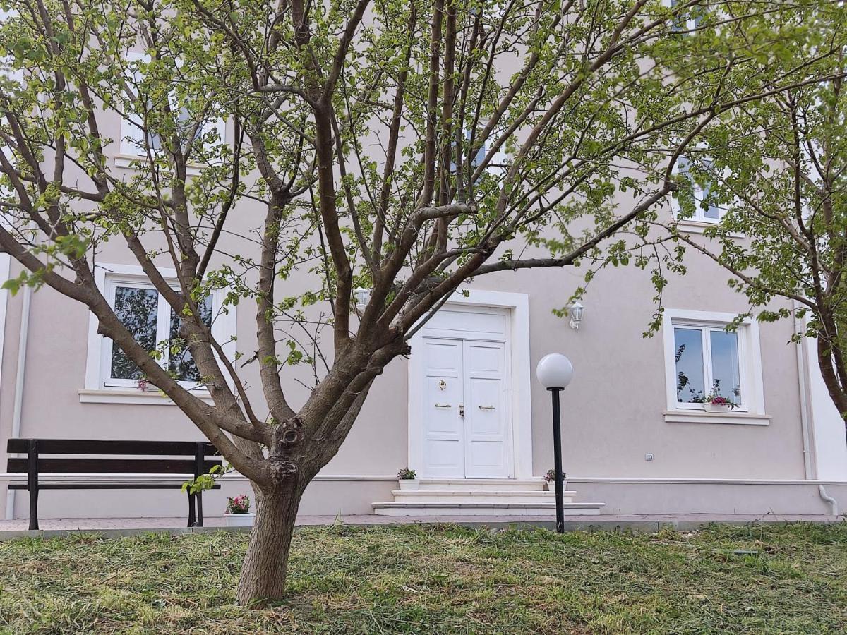 Villa Agri Art San Benedetto Ullano Exterior foto