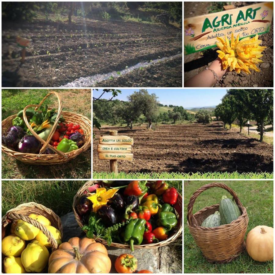 Villa Agri Art San Benedetto Ullano Exterior foto