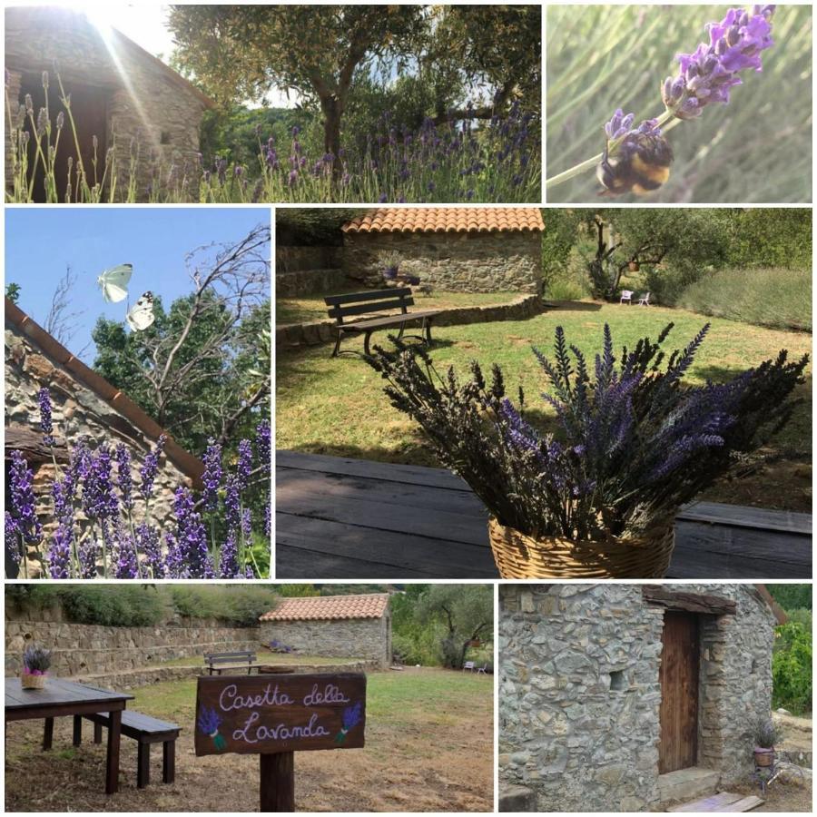 Villa Agri Art San Benedetto Ullano Exterior foto